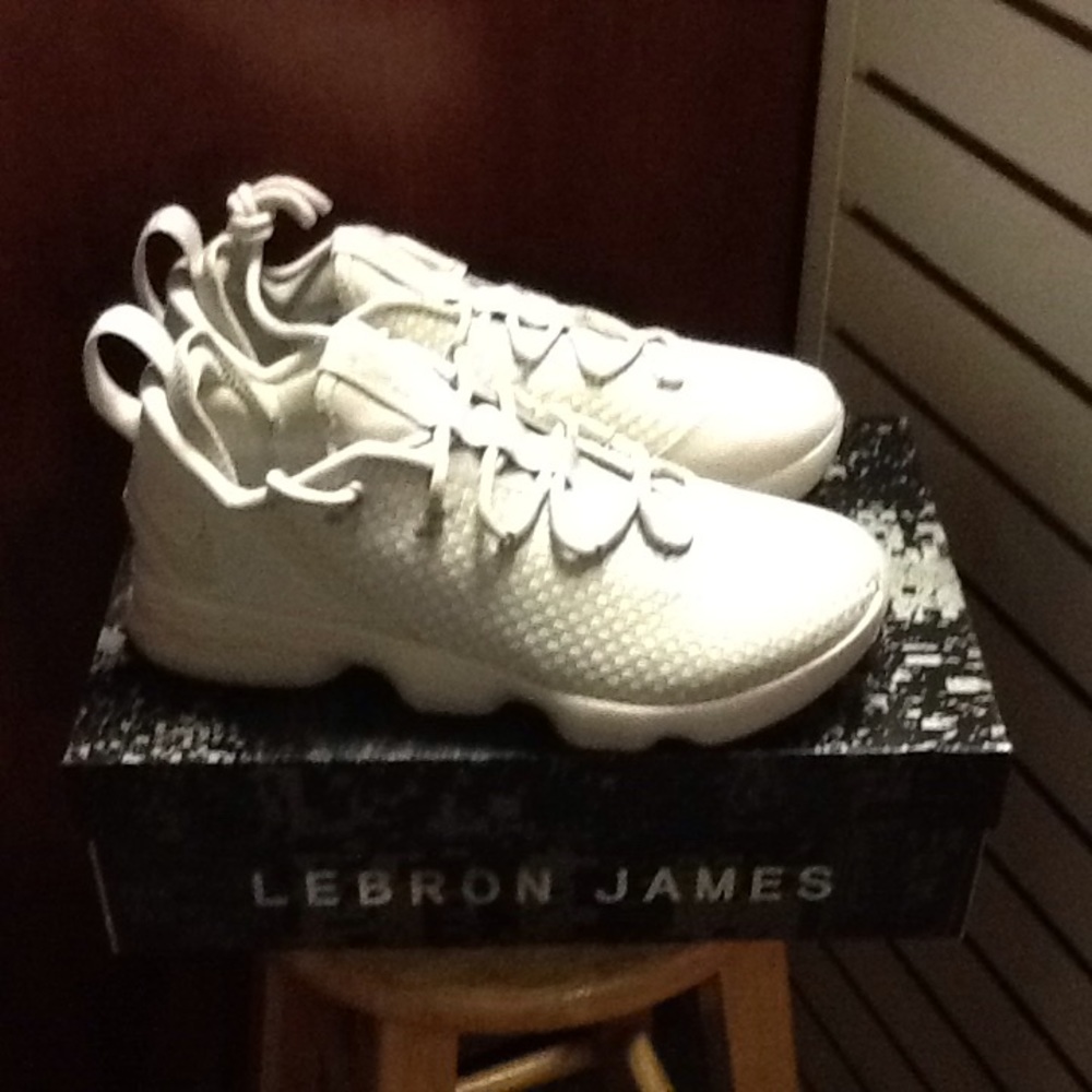 LeBron 14